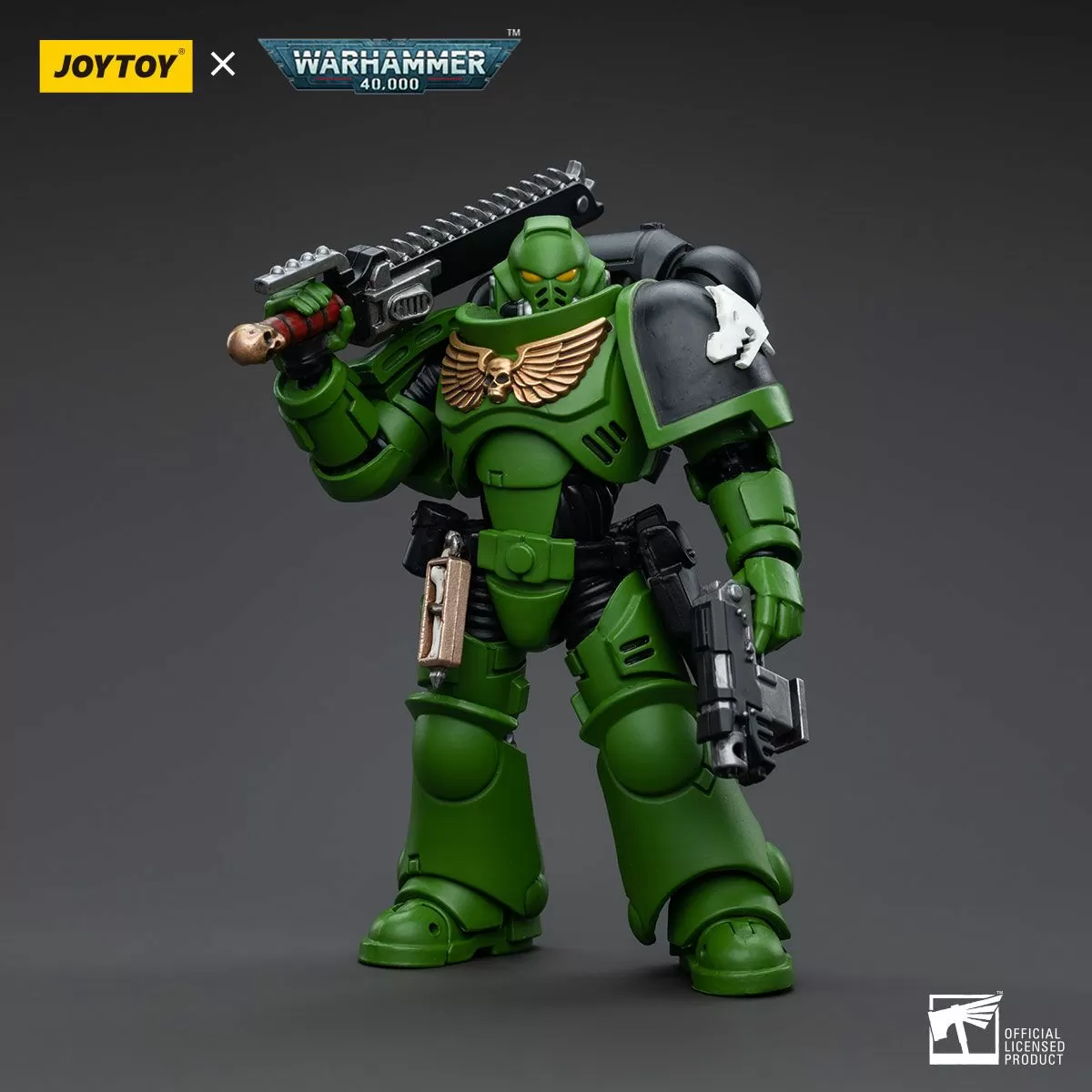 Warhammer 40K Salamanders Intercessors Brother Haecule 1/18 Scale Figure